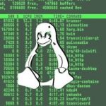 Scoperta la versione Linux del ransomware RansomEXX