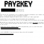 Aziende israeliane prese di mira dal nuovo ransomware Pay2Key
