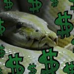 Server VMware ESXi crittografati con ransomware tramite script Python