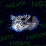 Nuovo malware travestito da processo nginx
