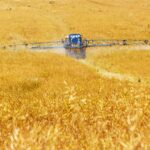 Minacce alla catena di approvvigionamento alimentare globale