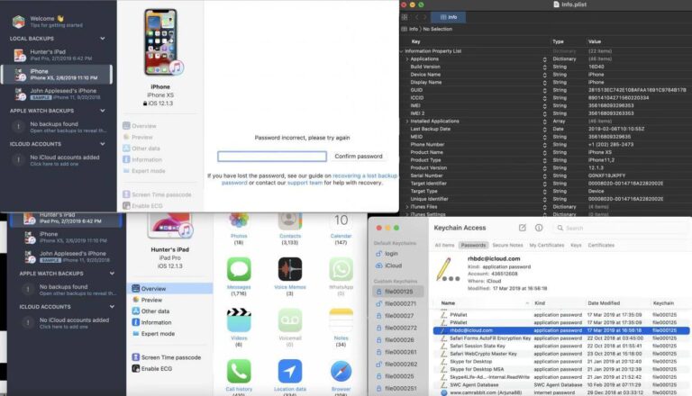 Password, compromesso account iCloud di Hunter Biden, figlio del presidente, rubati 450 GB di dati personali