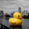 Il pericolo silenzioso del Sitting Duck Attack