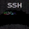 Un modulo Go camuffato da brute forcer SSH nasconde un canale di esfiltrazione su Telegram