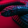 GoSerpent: la backdoor Go che spia governi e diplomazie del Sud-Est asiatico