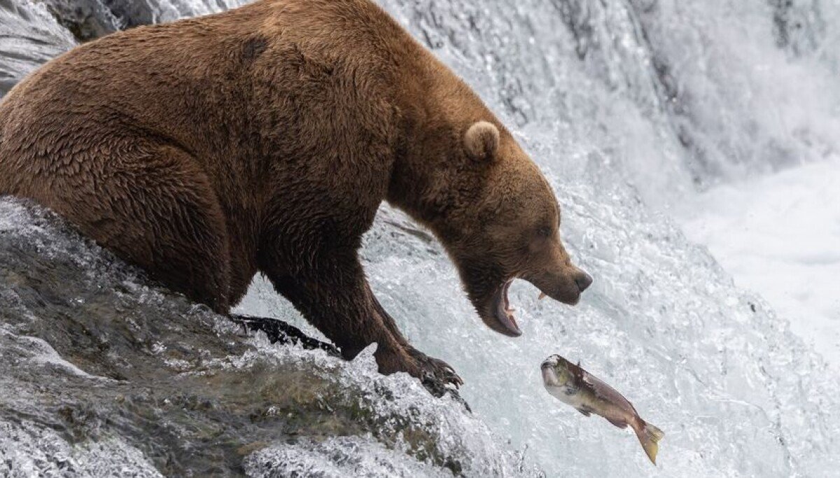 BigBear 2.0: la piattaforma di phishing-as-a-service che aggira anche l’MFA di Microsoft 365